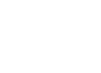 Università di Bologna